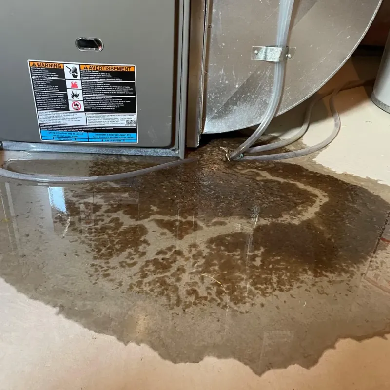 Appliance Leak Cleanup in Wendell, MA